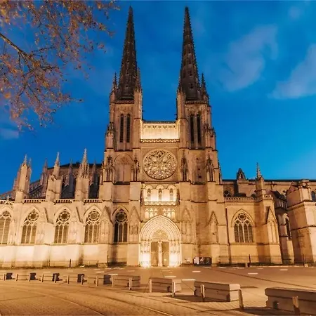 Apartamento Jungle Hyper Center *