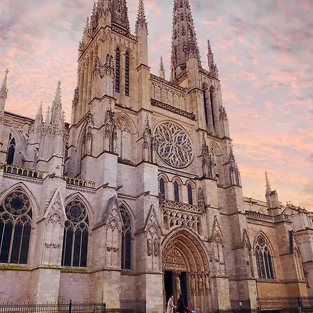 Jungle Hyper Center Bordeaux