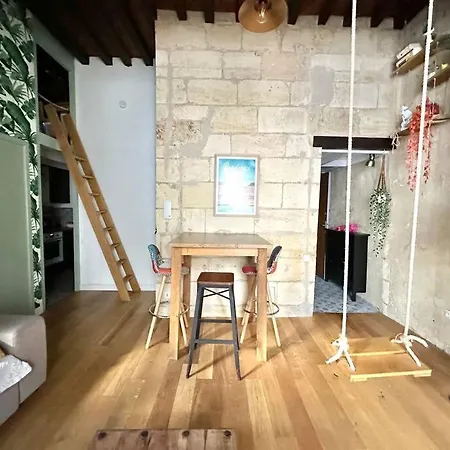 Appartement Jungle Hyper Center