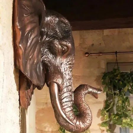 Appartement Jungle Hyper Center *