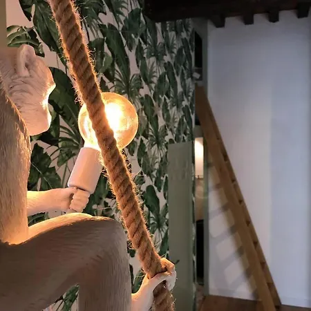 Apartamento Jungle Hyper Center Burdeos