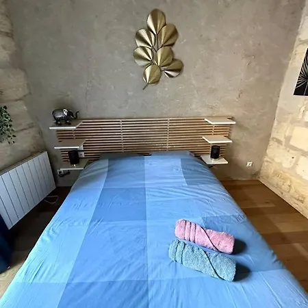 Jungle Hyper Center Bordeaux