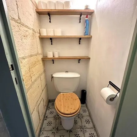 Apartamento Jungle Hyper Center Burdeos