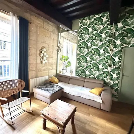 Jungle Hyper Center Bordeaux