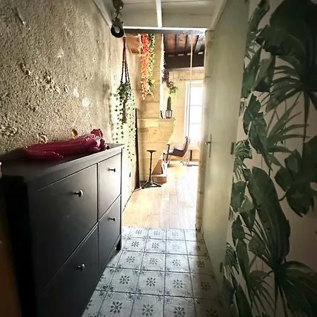 Jungle Hyper Center Apartamento