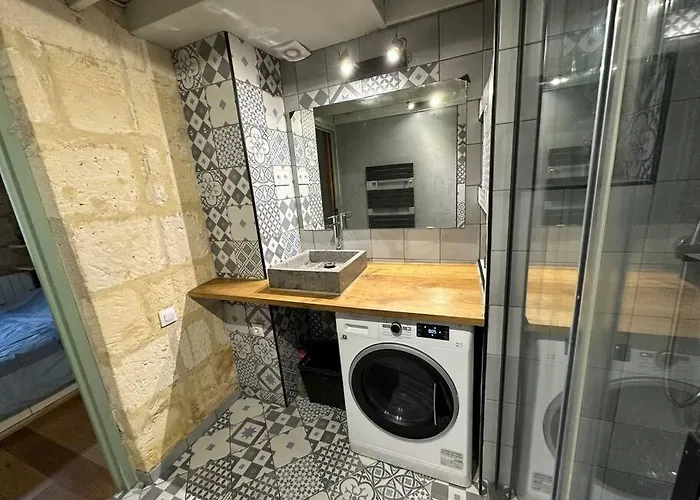 Appartement Jungle Hyper Center