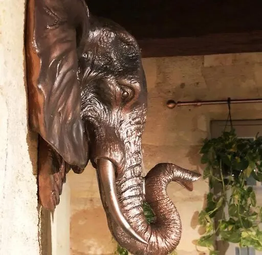 Apartament Jungle Hyper Center *