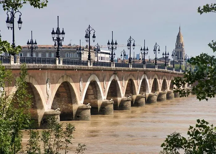 Apartament Jungle Hyper Center Bordeaux