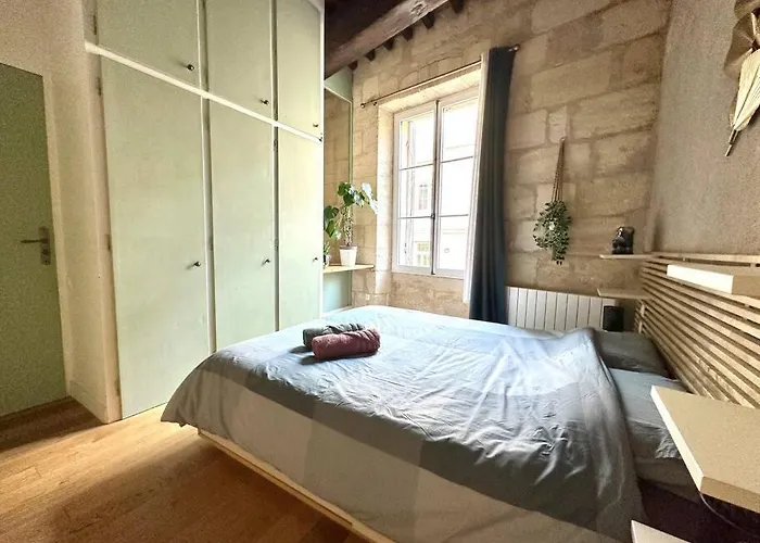 Apartament Jungle Hyper Center *