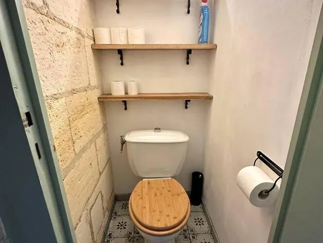 Apartament Jungle Hyper Center Bordeaux