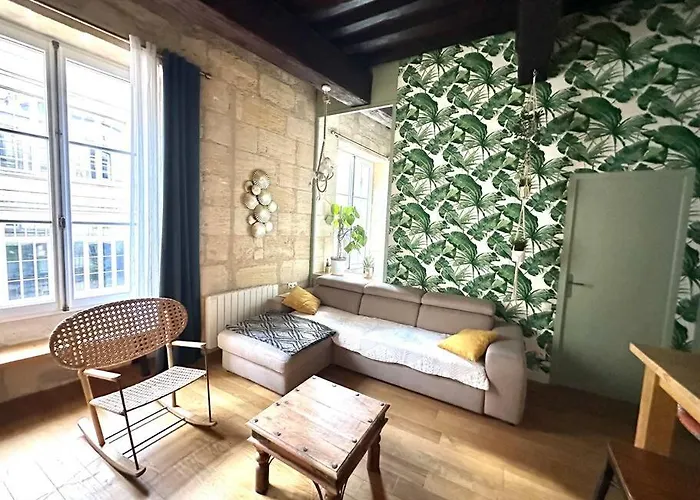 Jungle Hyper Center Bordeaux