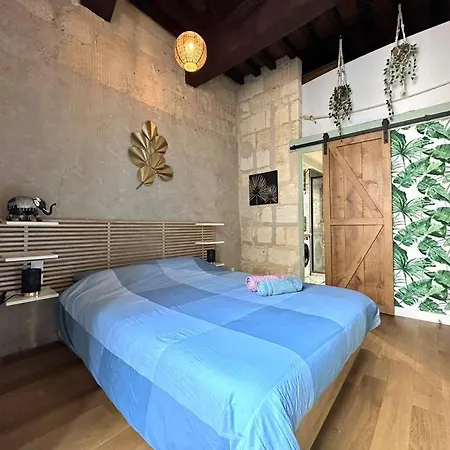 Jungle Hyper Center Apartment Bordeaux