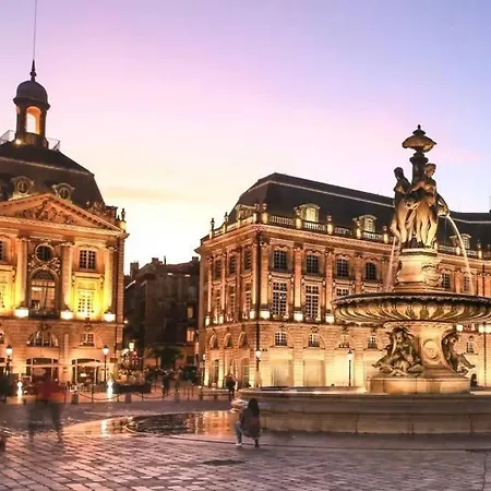 Apartment Jungle Hyper Center *