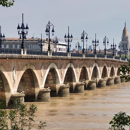 Apartment Jungle Hyper Center Bordeaux