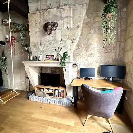 Jungle Hyper Center Apartment *