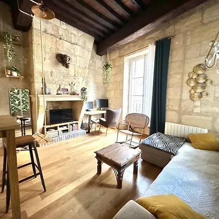 Jungle Hyper Center Apartment