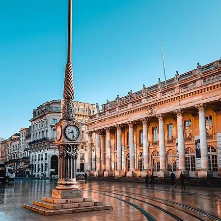 Jungle Hyper Center * Bordeaux