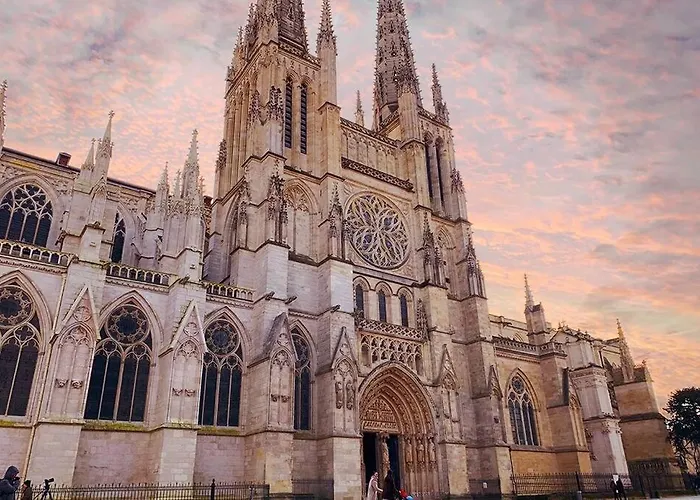 Jungle Hyper Center Bordeaux