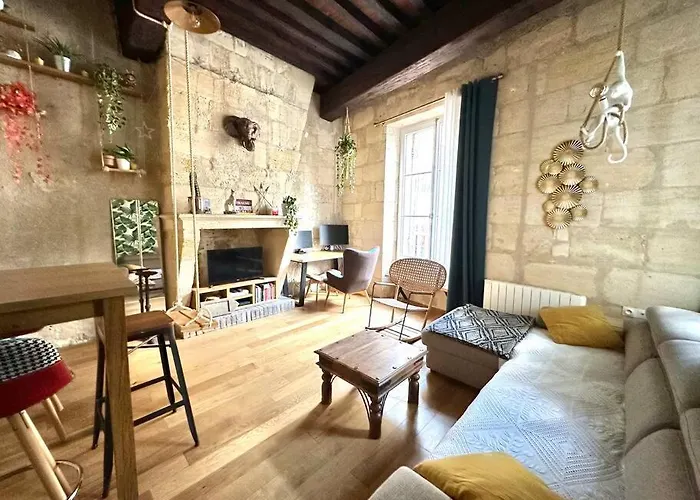 Jungle Hyper Center Appartamento