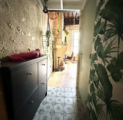 Jungle Hyper Center Appartamento