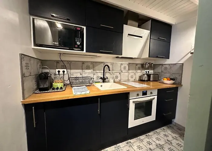 Jungle Hyper Center * Bordeaux