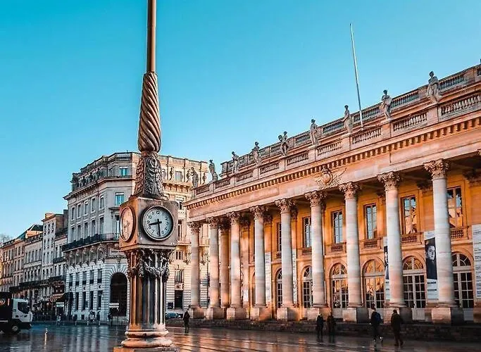 Jungle Hyper Center * Bordeaux